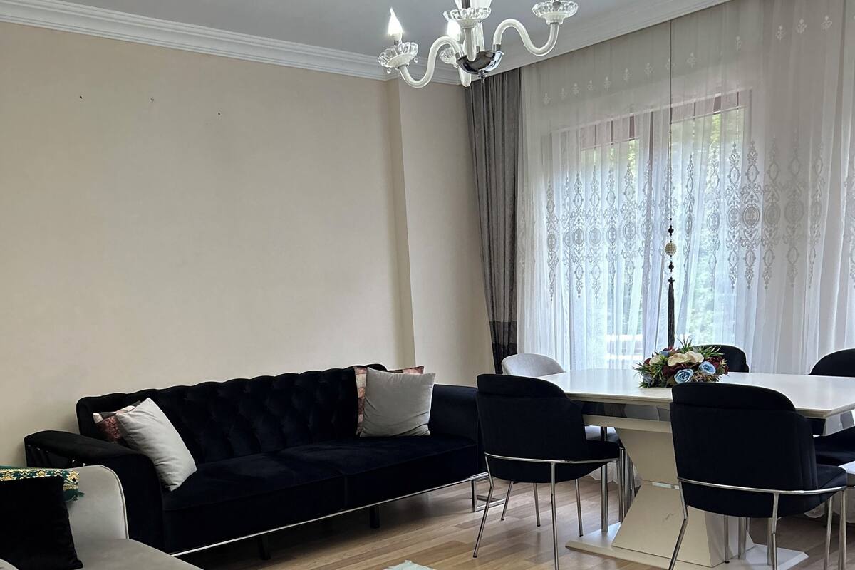 A modern living room with a dark blue sofa, a light-colored sofa, and a dining table with chairs.