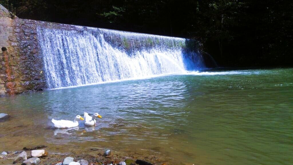 A waterfall with clear water, surrounded by rocks and trees.