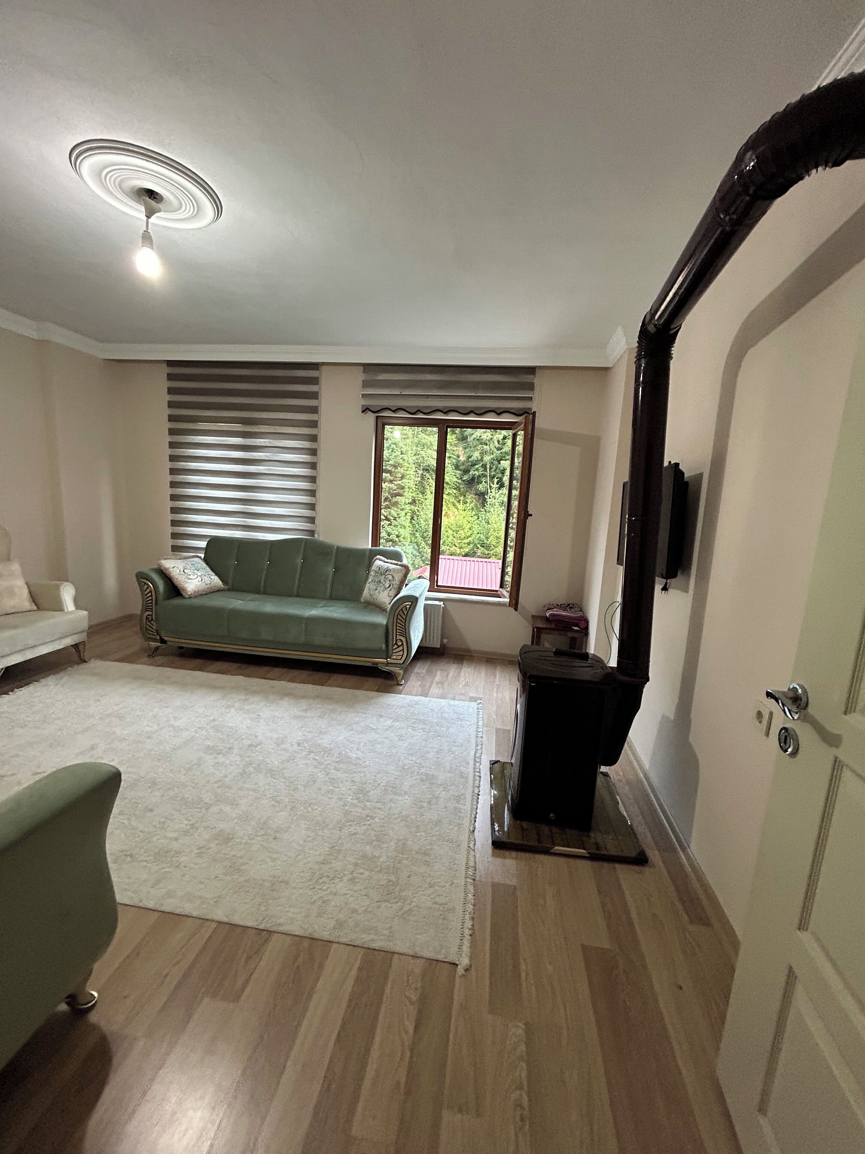A spacious living room with a green sofa, a white armchair, and a white rug. There is a large window with a view of greenery outside.