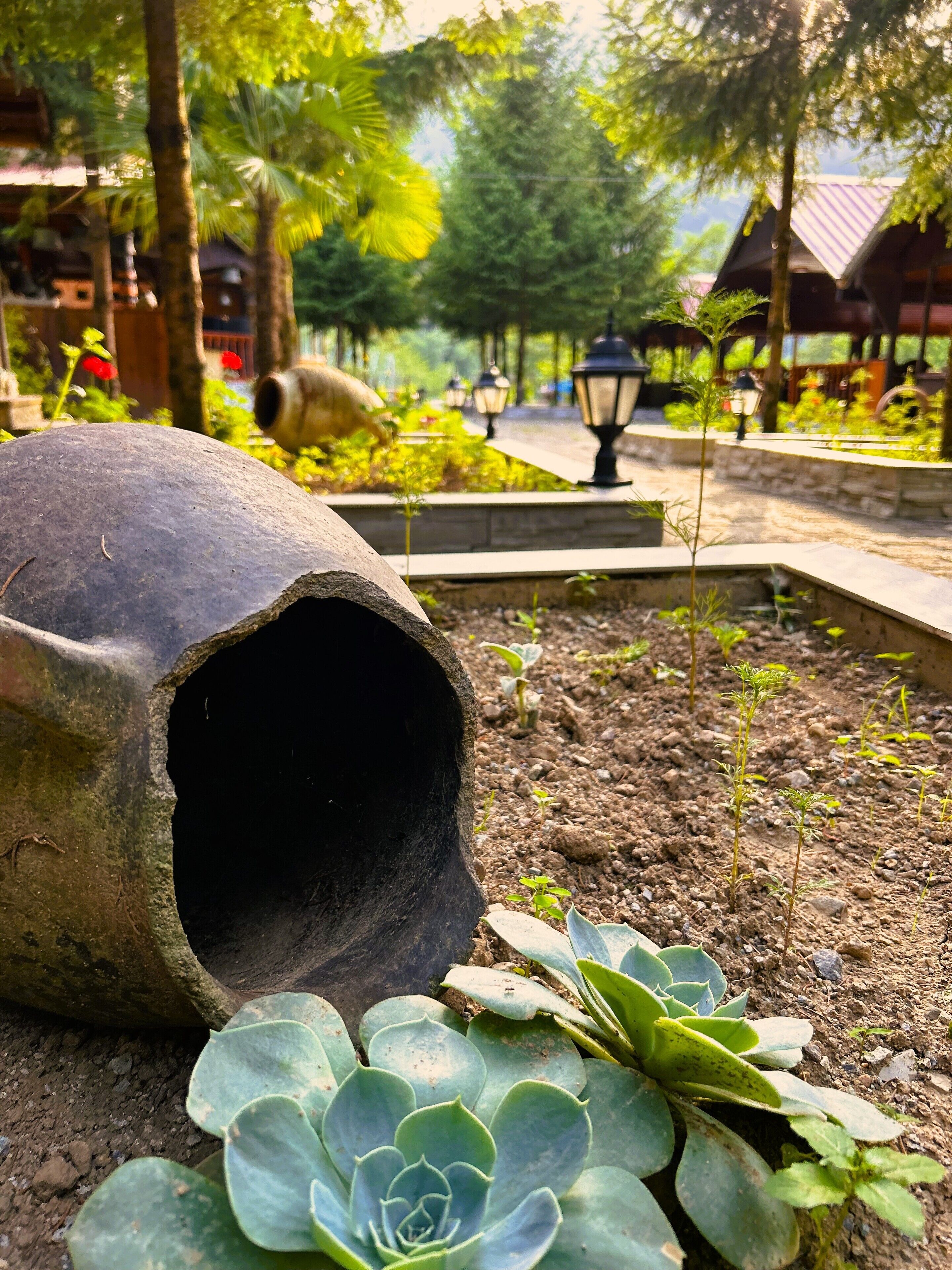 A garden with a large stone planter, small plants, and a pathway lined with trees and street lamps.