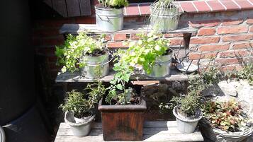 Une plateforme en bois à plusieurs niveaux, sur laquelle sont disposées de nombreuses plantes en pot.