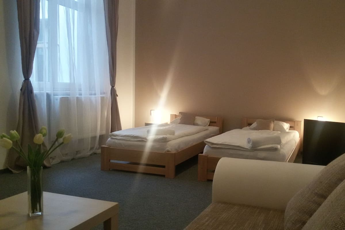 Una habitación de hotel con dos camas individuales, un sofá, un televisor y un jarrón con flores.
