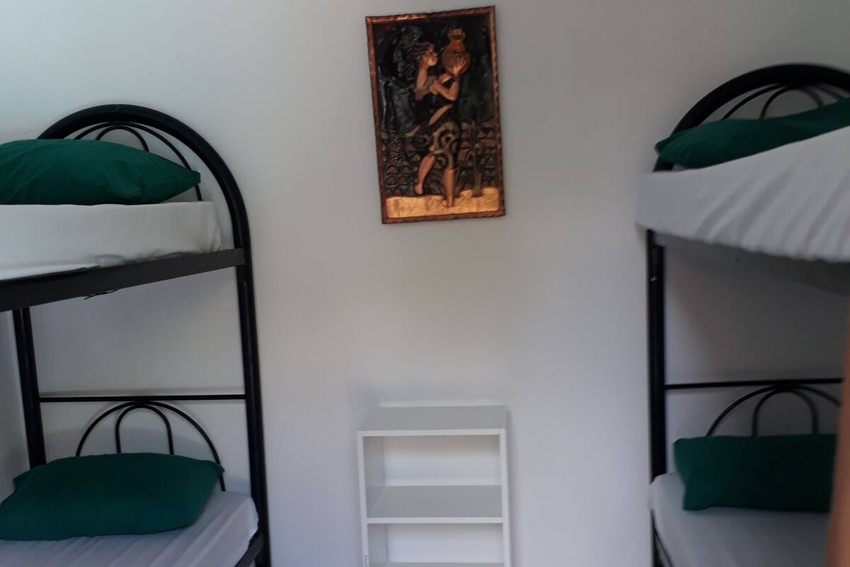 A dormitory room with bunk beds, a white shelf unit, and a painting on the wall.