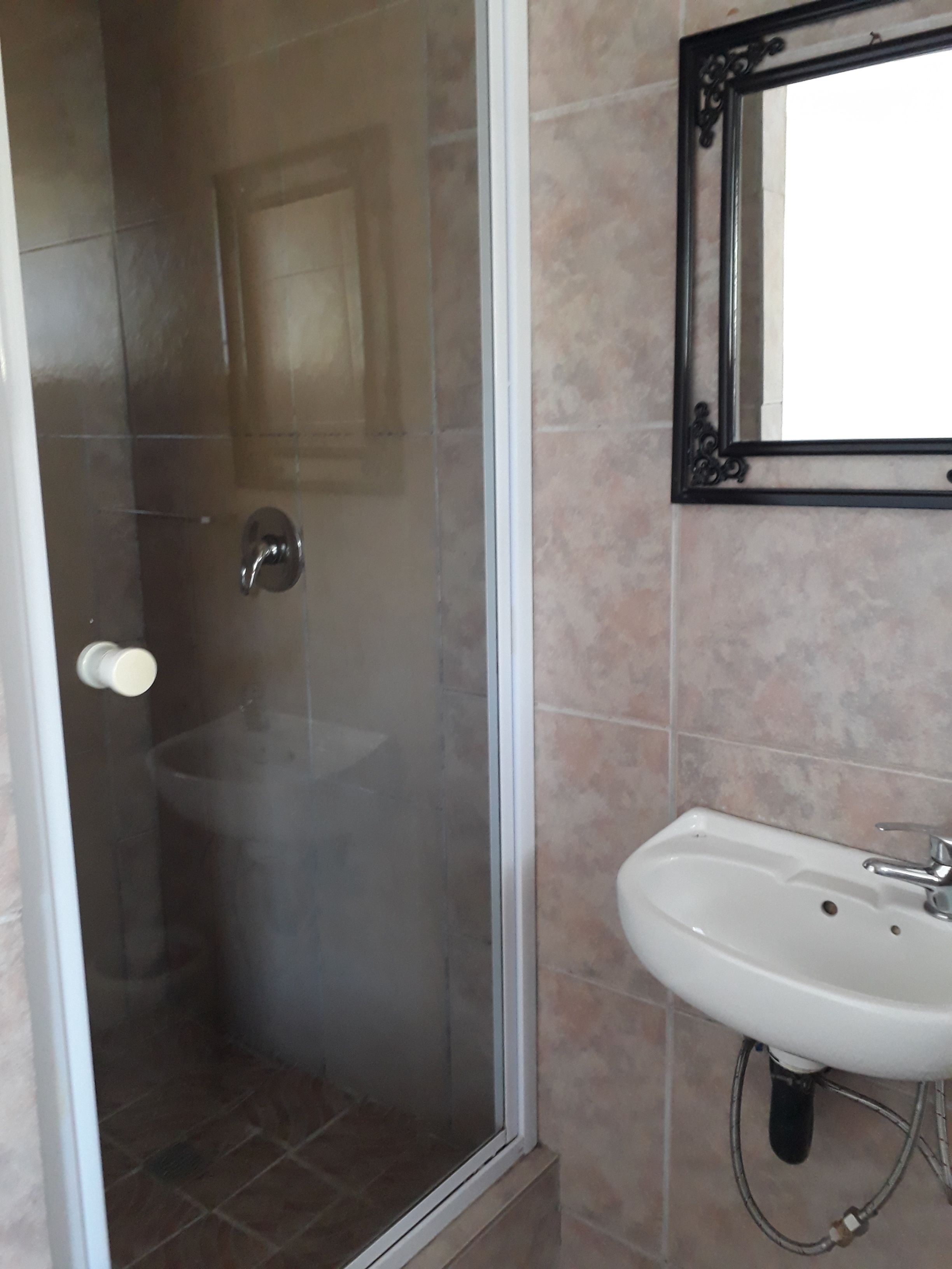 Une salle de bain dotée d’une douche à paroi de verre, d’un lavabo blanc et d’un miroir encadré d’un cadre orné.