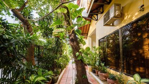 Un sendero estrecho bordeado por plantas en macetas y un tronco de árbol, que conduce a un edificio con grandes ventanales y suelo de baldosas.