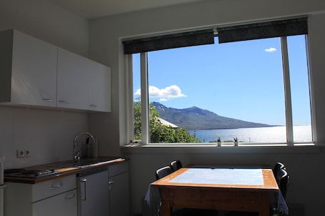 Apartment, 2 Bedrooms (Guesthouse) | Private kitchenette | Fridge, microwave, stovetop, coffee/tea maker