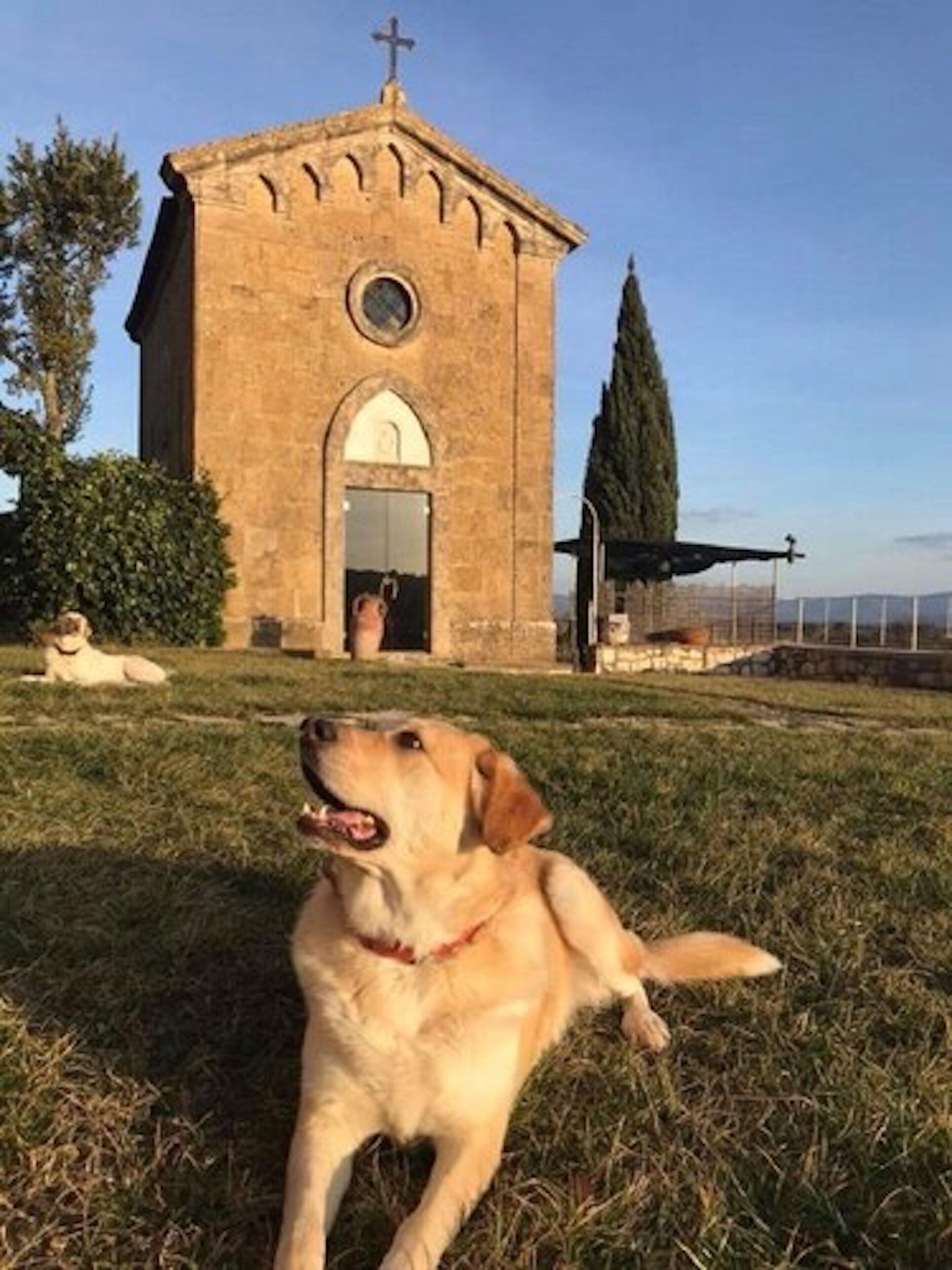 Photo - Tenuta Decimo - Il Borgo Di Mariano