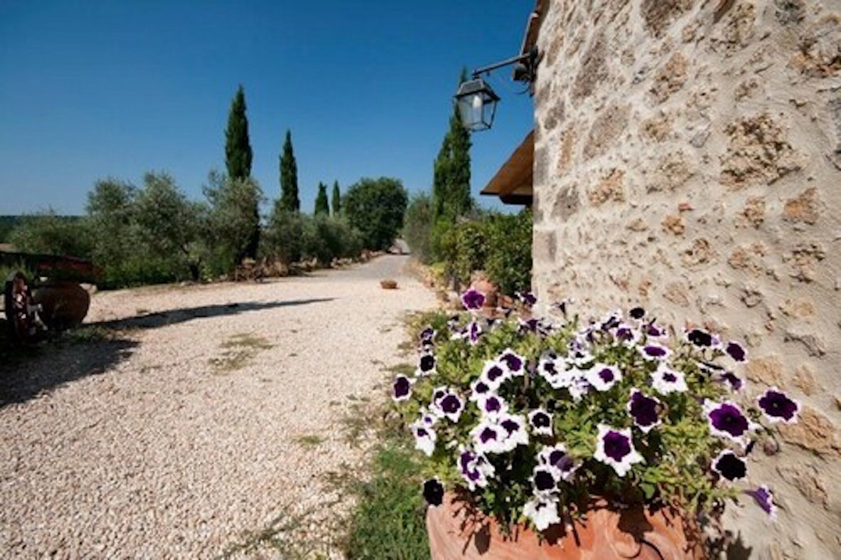 A gravel path leading to a rustic building with a stone wall and a potted plant with purple and white flowers.