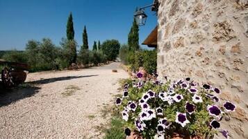 Un sendero de grava que conduce a un edificio rústico con un muro de piedra y una maceta con flores púrpuras y blancas.