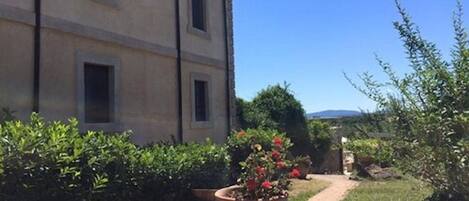 Un edificio con un camino que lleva a un jardín con plantas en macetas y un cielo azul despejado.