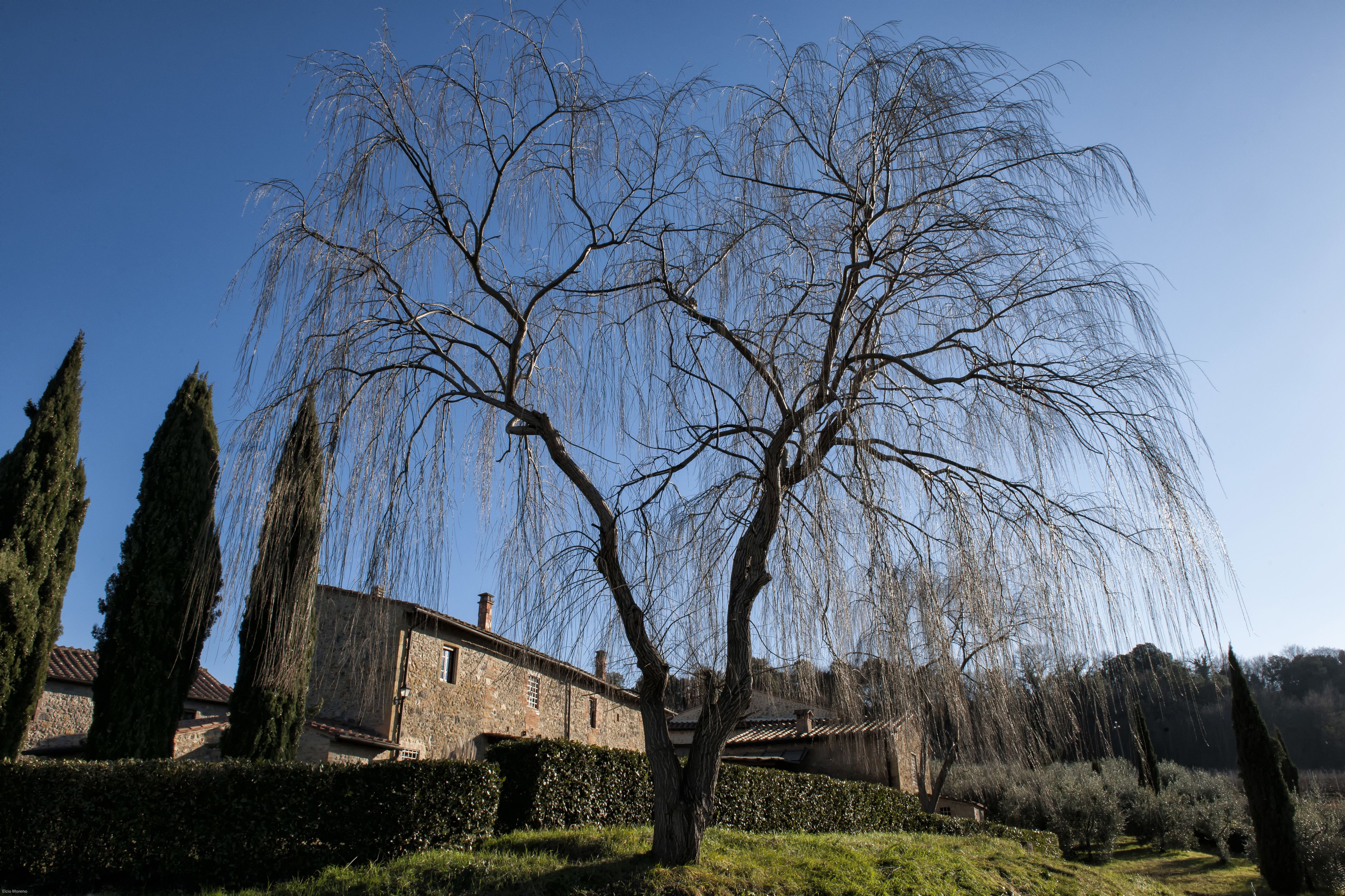 Photo - Tenuta Decimo - Il Borgo Di Mariano