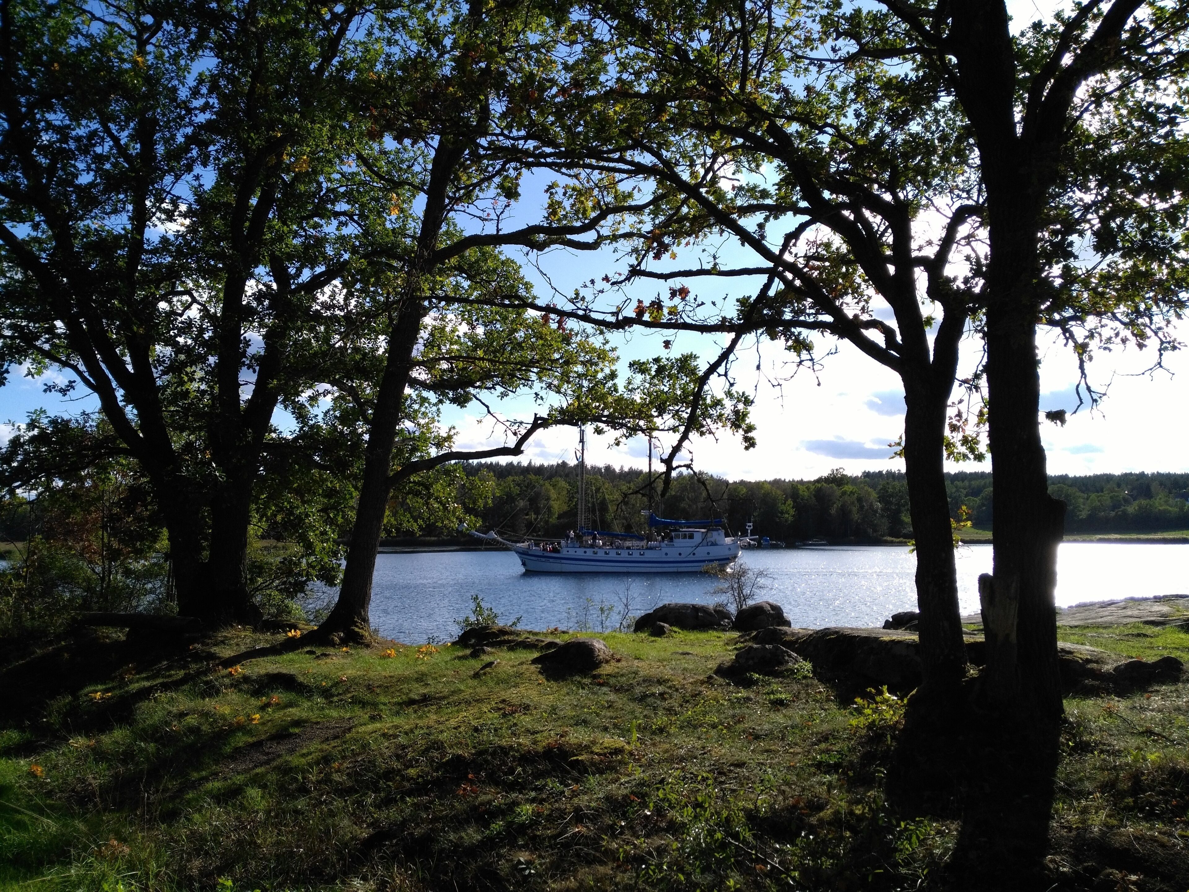 A boat docked at a lake surrounded by trees.