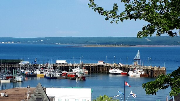 A marina with boats docked, a pier extending into the water, and a building with a clock. - Hillside Landing B&B (Digby)