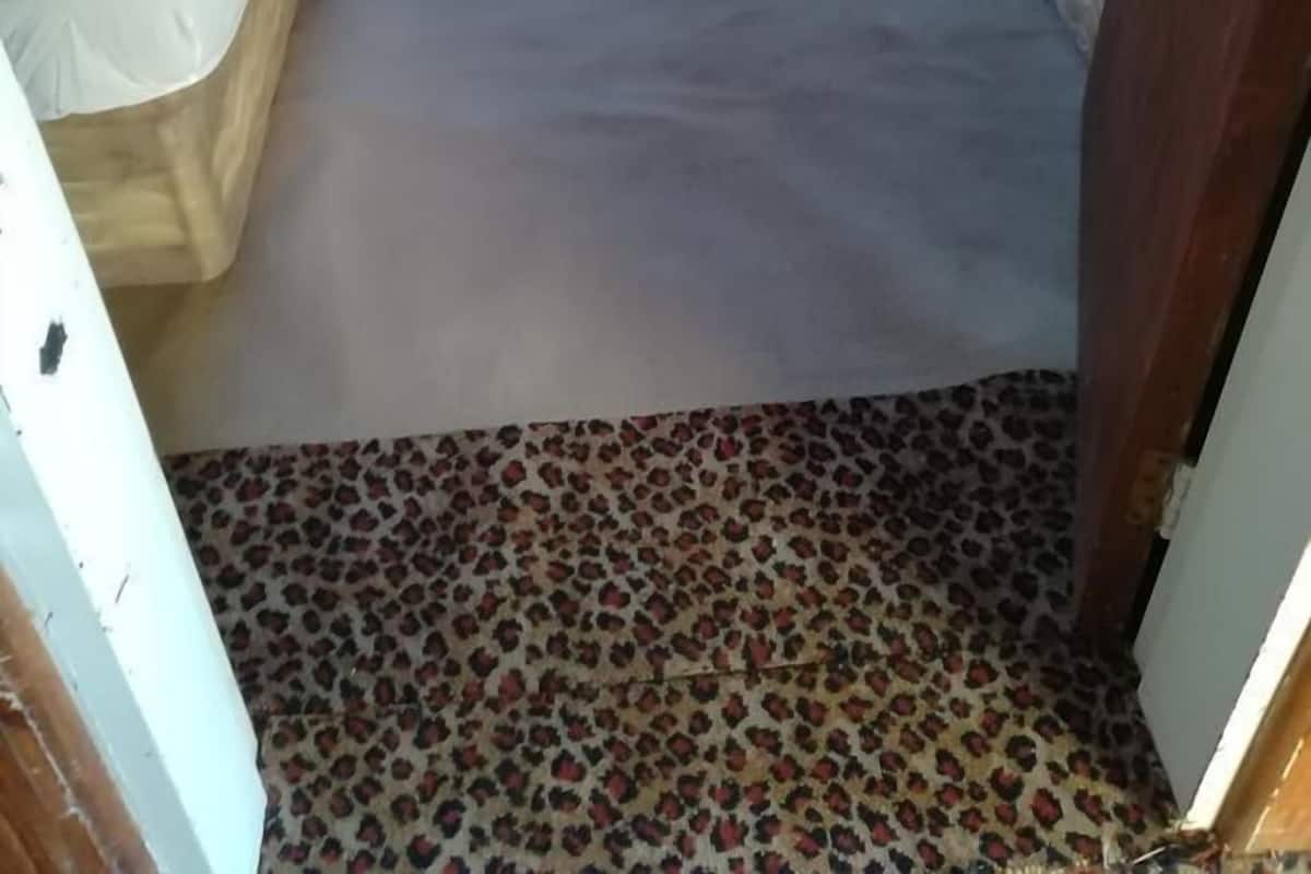 Une petite pièce étroite avec deux lits, un tapis à motifs et des rideaux ornés d’imprimés d’animaux.