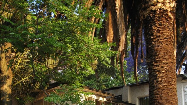 Un edificio de dos pisos con fachada blanca, un balcón en el piso superior y una palmera en primer plano.