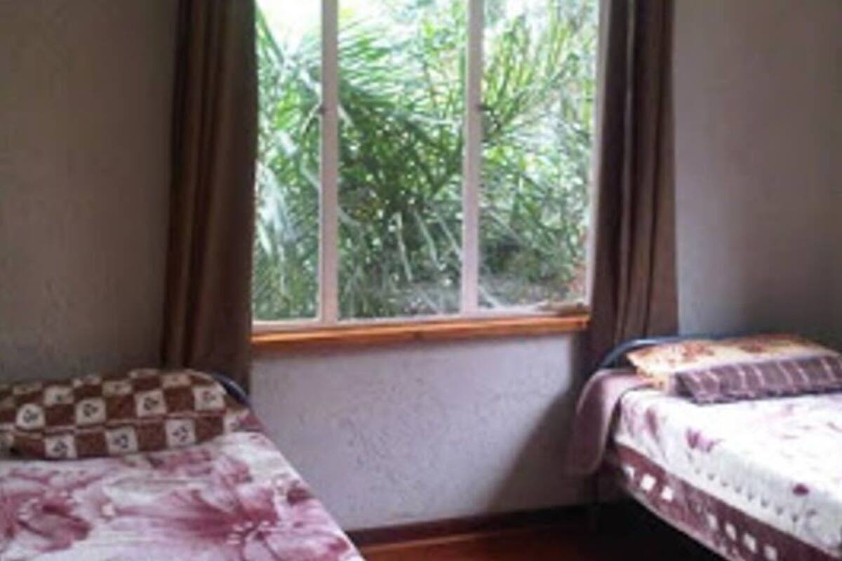 A bedroom with two beds, a window with curtains, and a view of greenery outside.