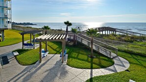 A coastal walkway with a wooden bridge, benches, and a palm tree.