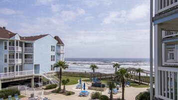 Studio | Property grounds