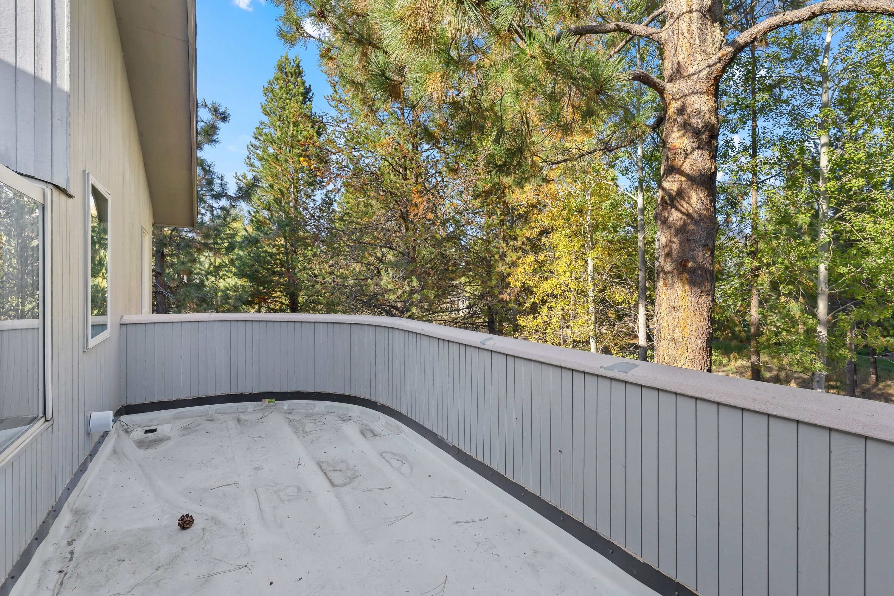 Un balcon incurvé offrant une vue sur de grands arbres et un ciel dégagé.