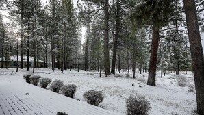A snow-covered forest with tall pine trees and a wooden deck. - Pet-Friendly 6 Otter Home features Bikes to Explore Sunriver Village by RedAwning (Bend)