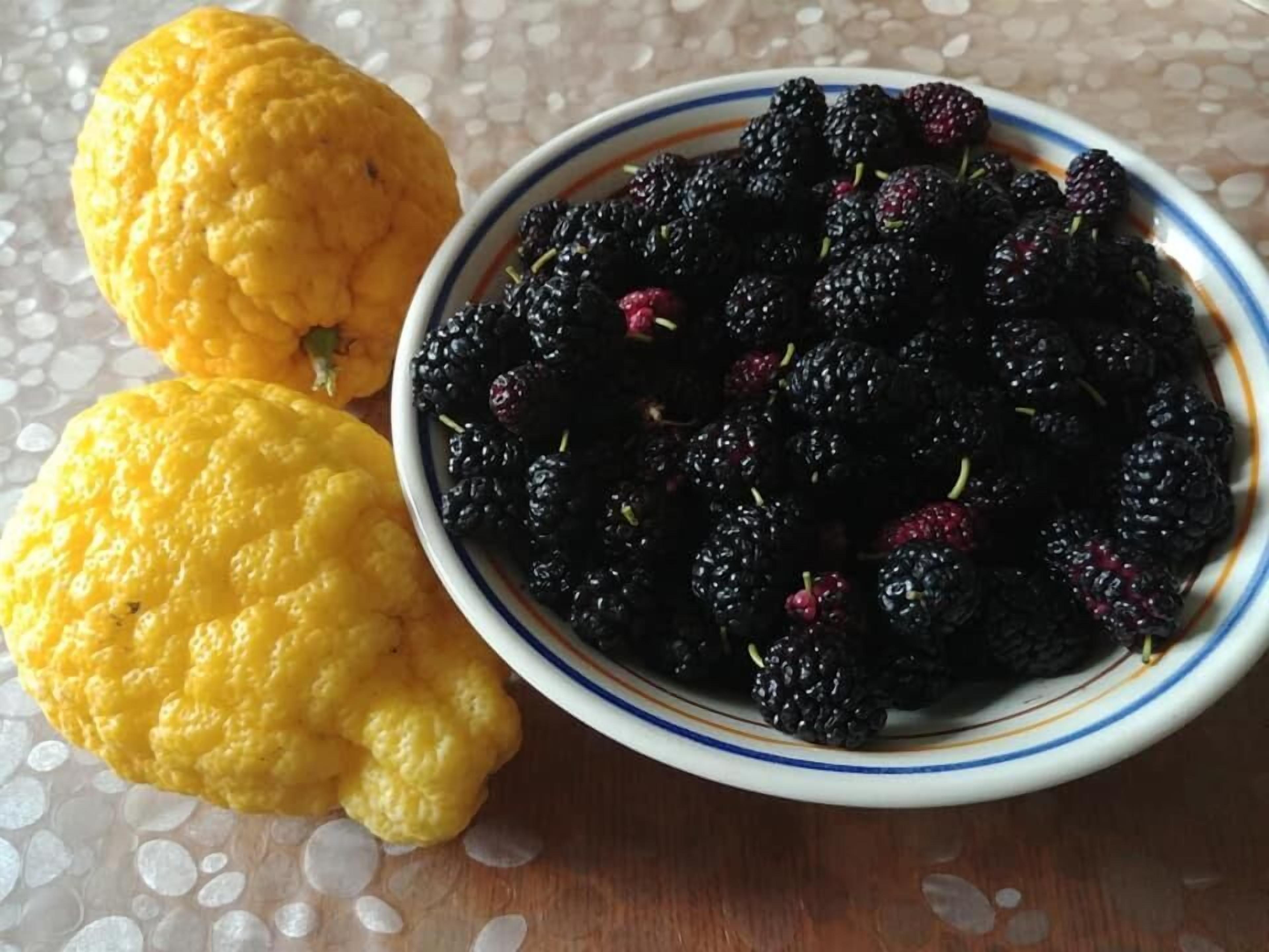 Una ciotola di mirtilli neri e due limoni su un tavolo.