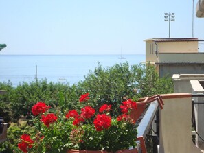 Vista desde la propiedad