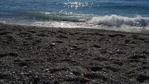 Una platja amb un litoral rocos i l'oceà.