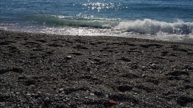 Une plage avec un rivage rocheux et l’océan.