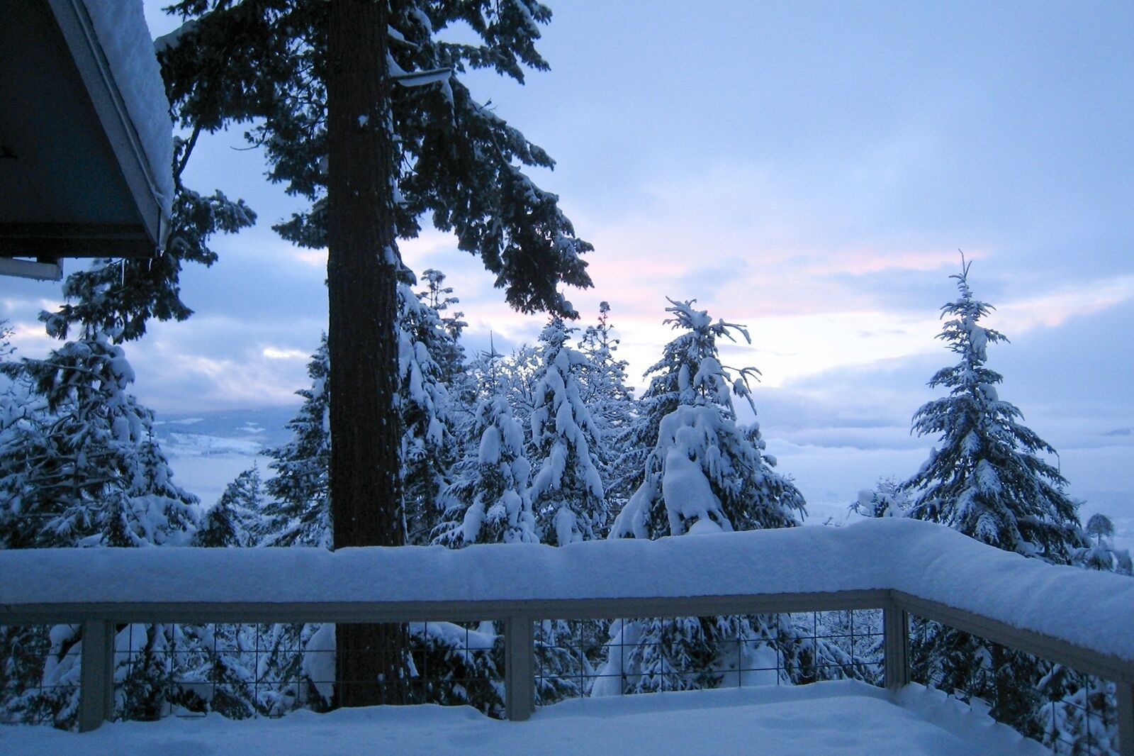 House, 4 Bedrooms | Property grounds