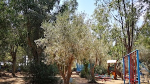 A playground with climbing structures and a dirt path surrounded by trees.