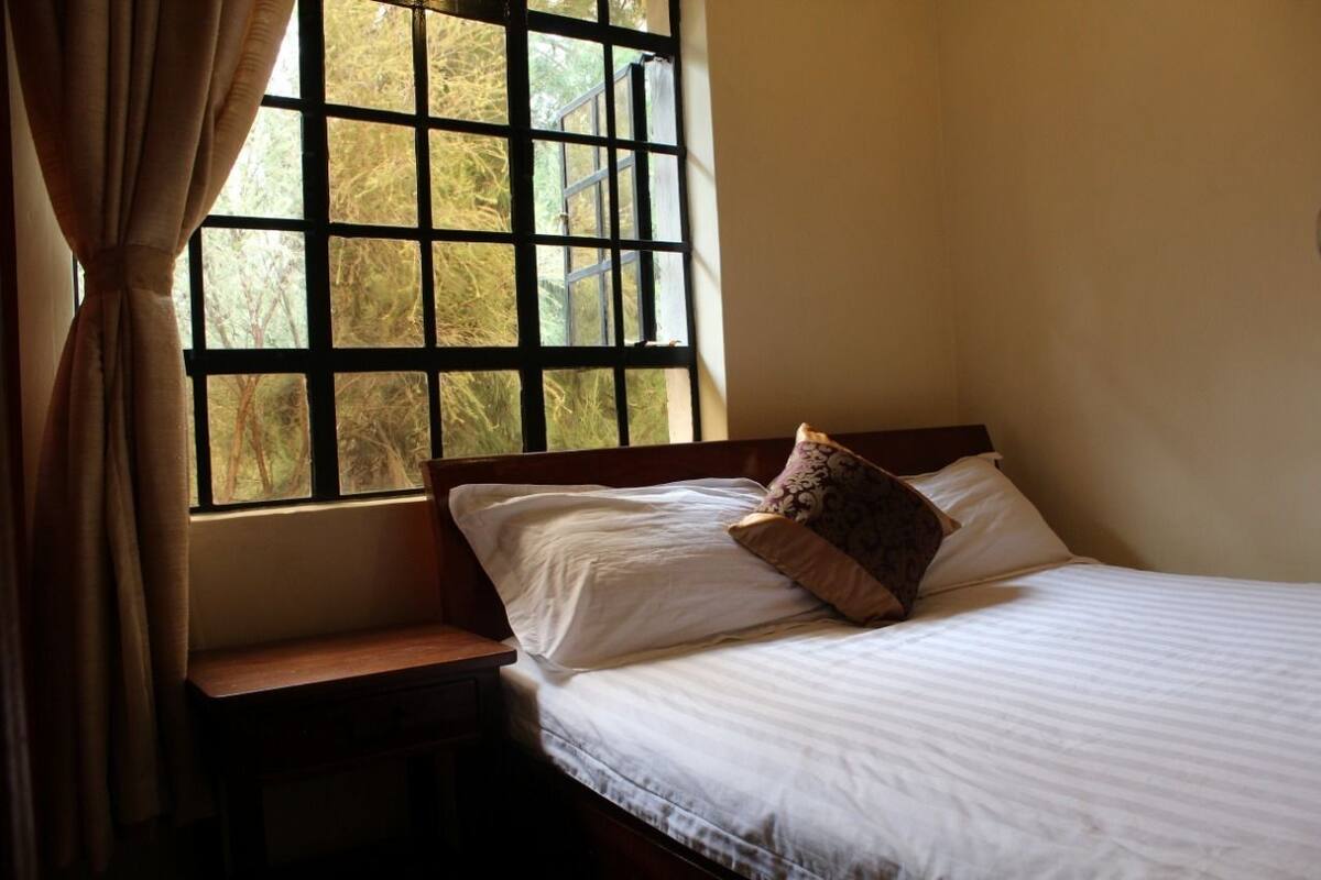 Comfort Apartment, 1 Bedroom