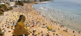 Deluxe Apartment with 1 Room J - 1 Br apts