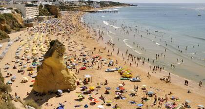 Deluxe Apartment with 1 Room E - 1 Br apts