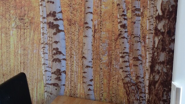 A dining area with a wooden table and chairs, a wall mural of birch trees, and a white door. - Stunning Apartment In London Tottenham (London)