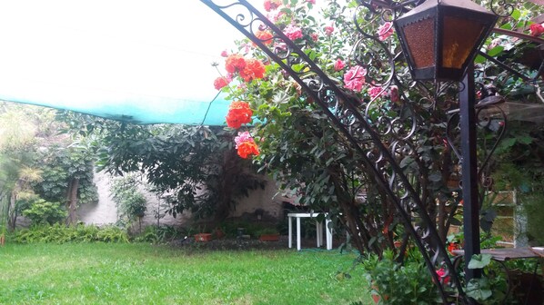 Garden - Samadri Hospedaje (Arequipa)