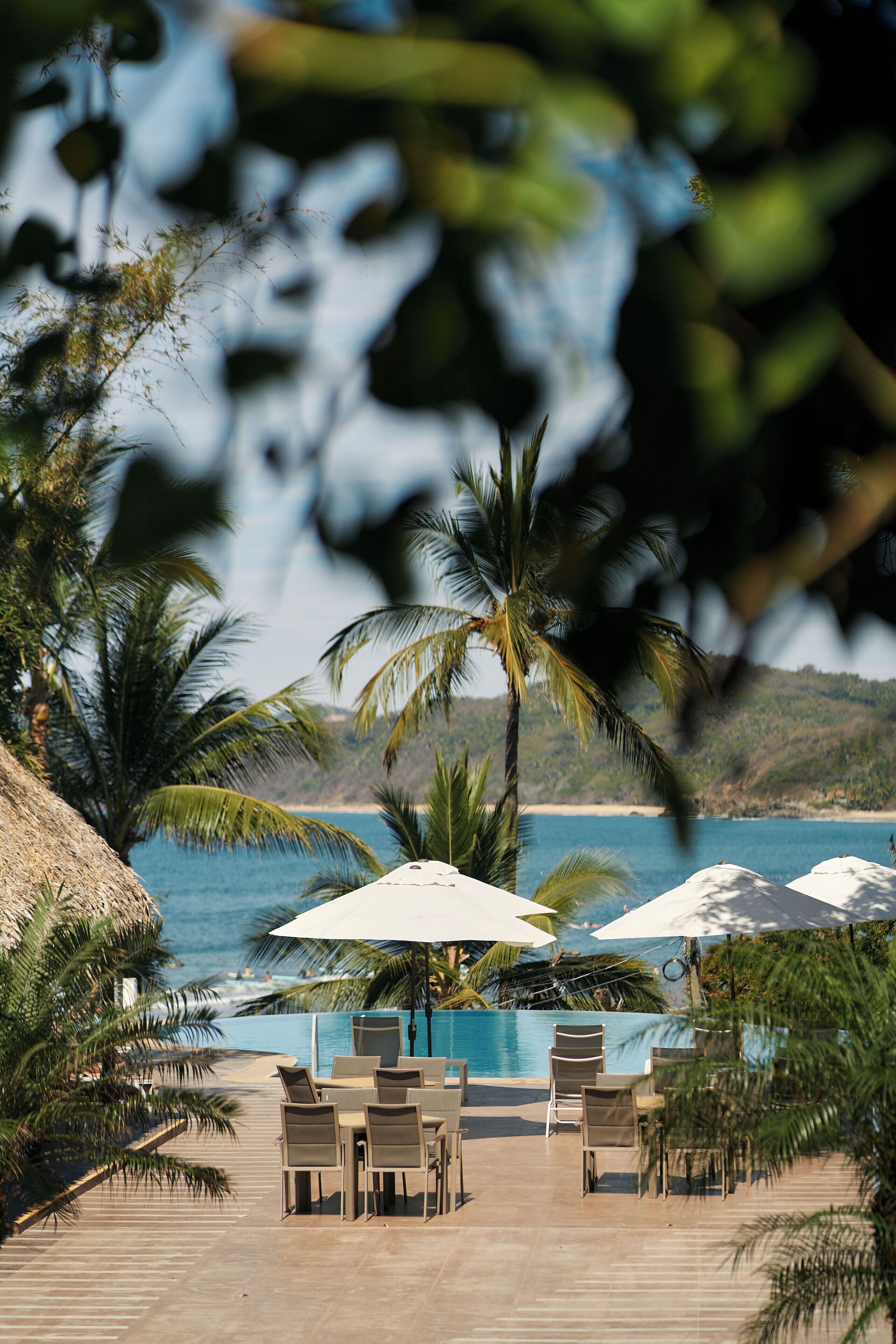 Zona junto a la piscina con sillones de descanso y sombrillas, con vista a un cuerpo de agua y palmeras.