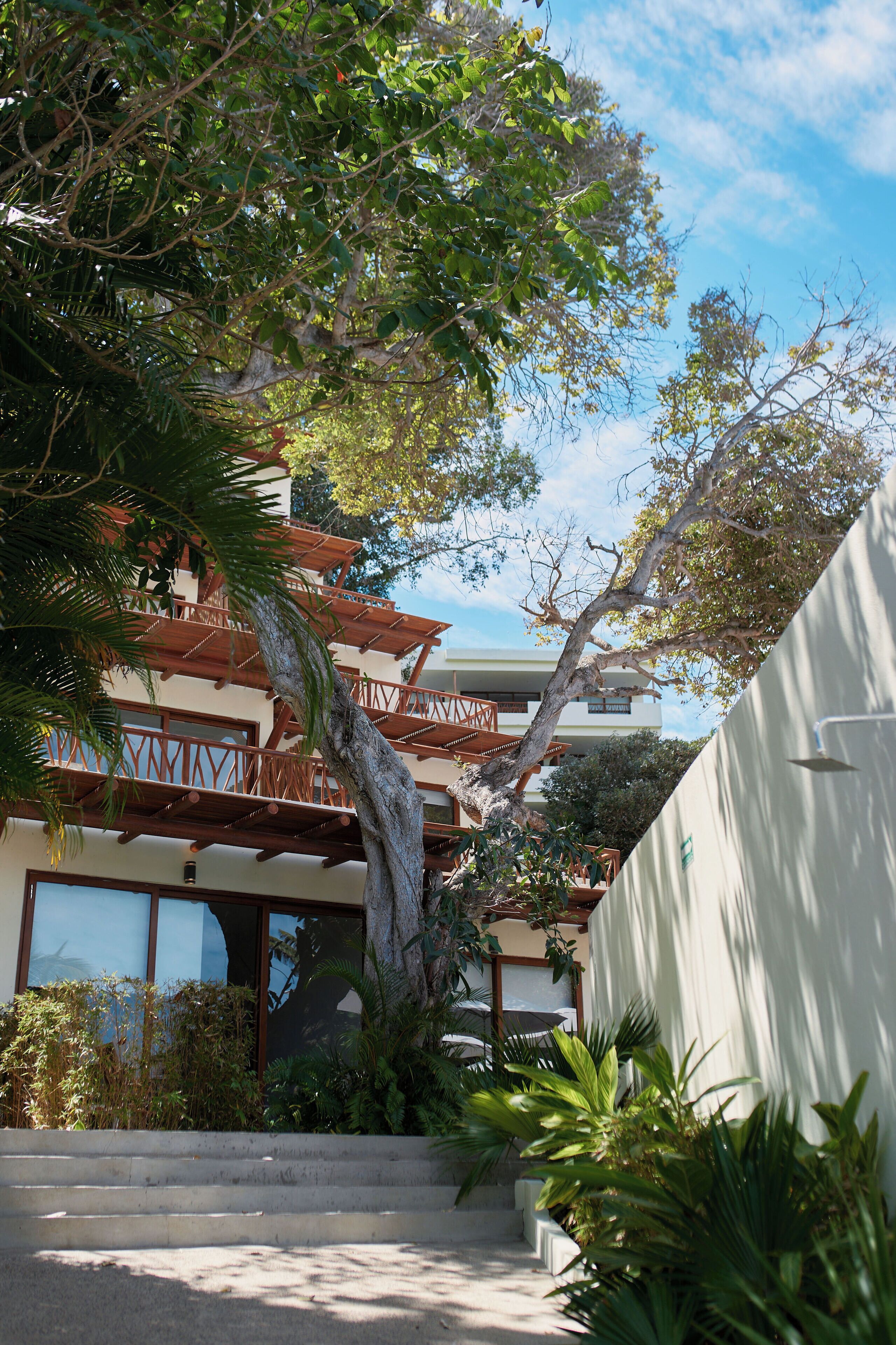 A building with a staircase leading to a balcony, surrounded by lush greenery and a clear sky.