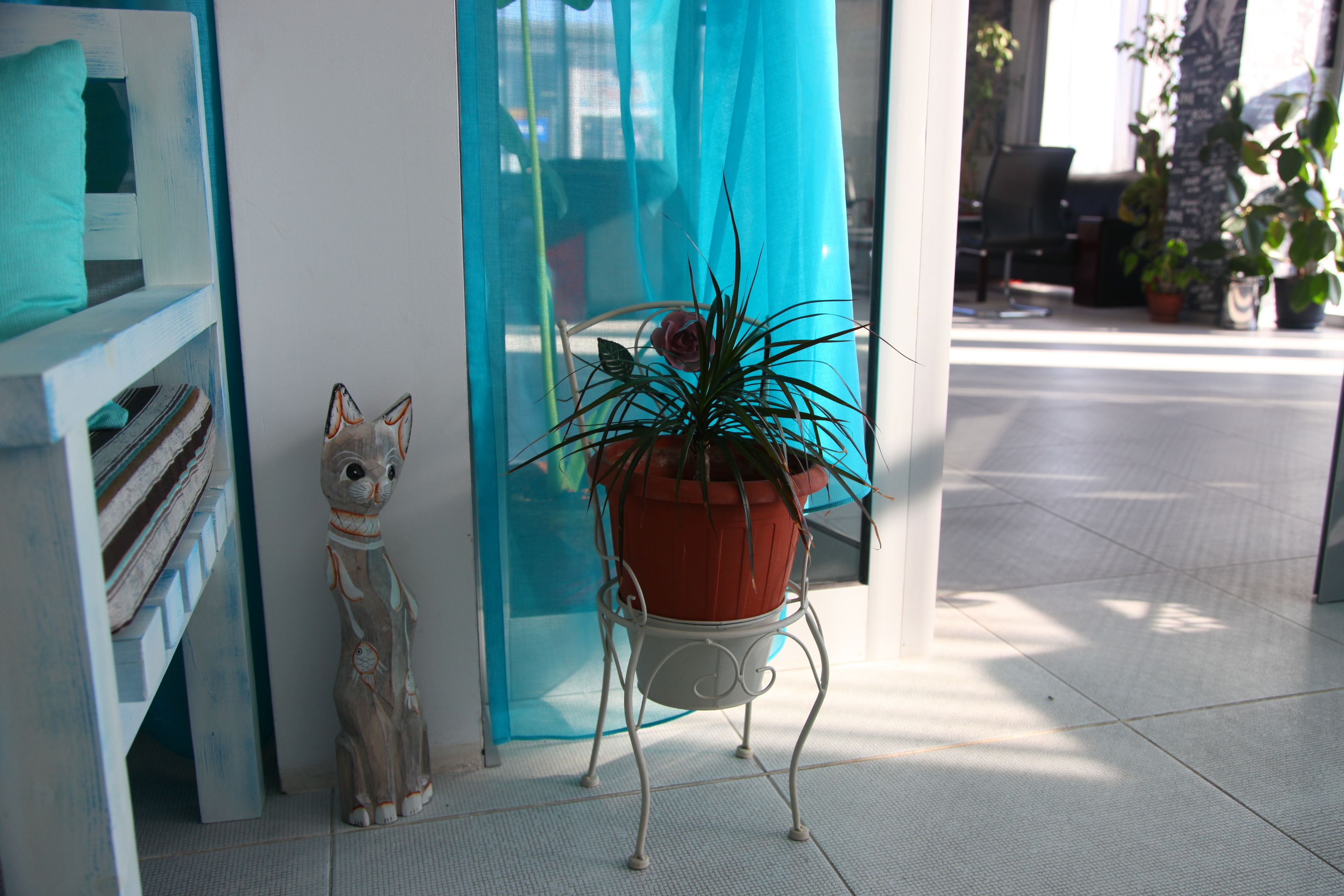 breakfast, lunch and dinner served