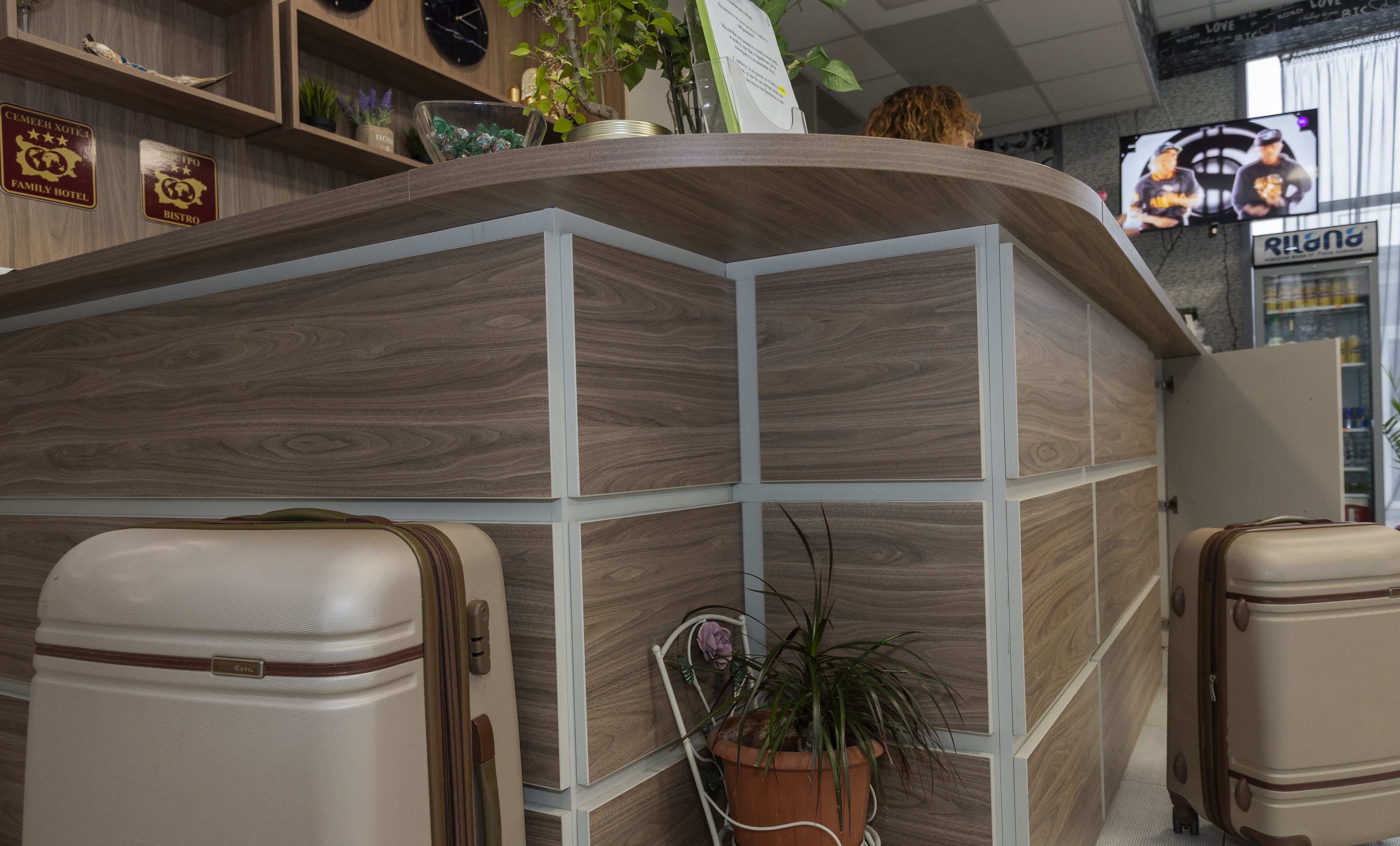 Zona de recepción de un hotel con un mostrador curvo, paneles de madera y una planta en maceta. Hay dos maletas de estilo antiguo al frente.