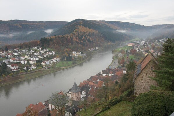 A riverside town with historic buildings, a prominent tower, and a stone wall.