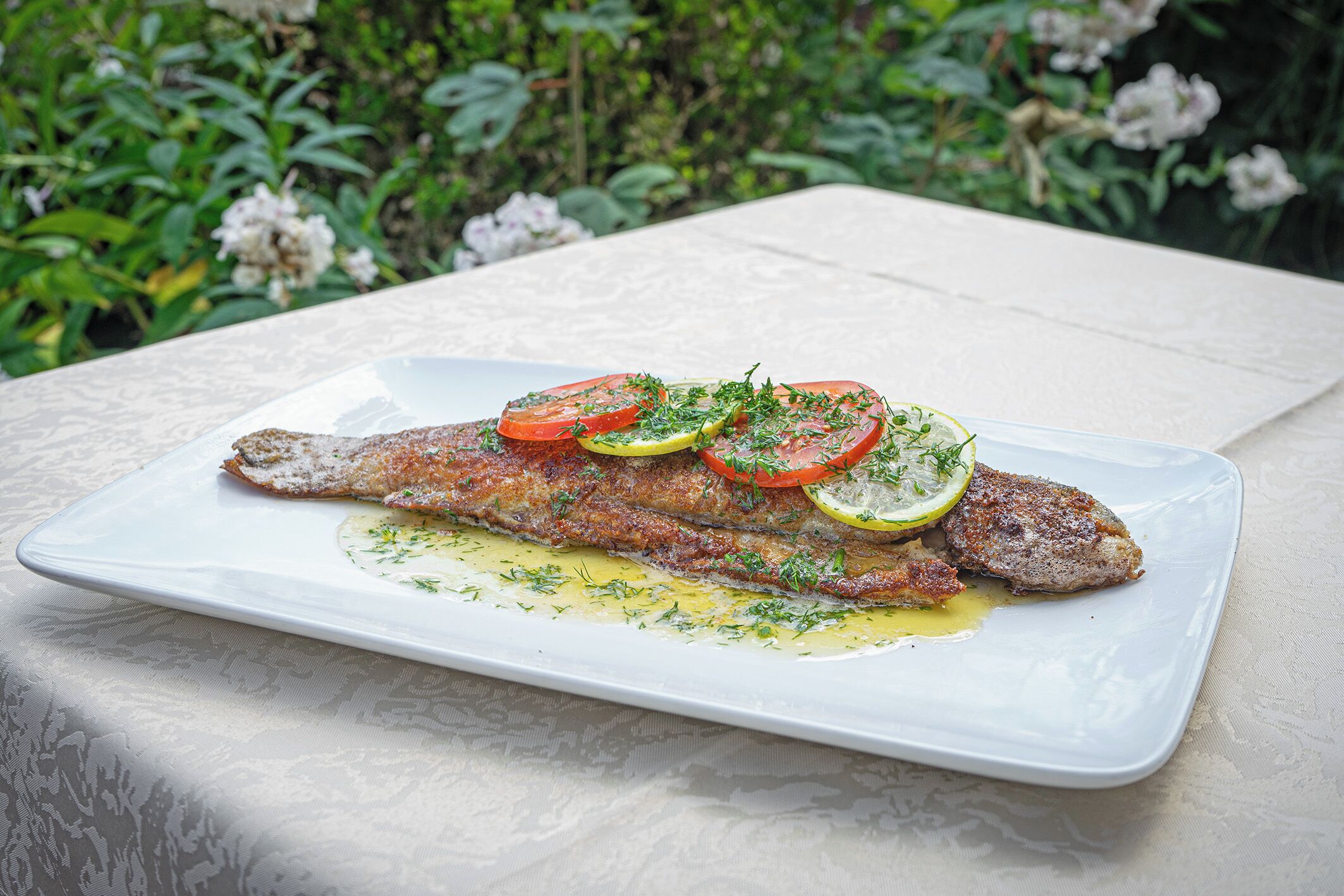 Ein weißer Teller mit gegrilltem Fisch, belegt mit Zitronenscheiben und Kräutern, mit einem Schuss Öl.