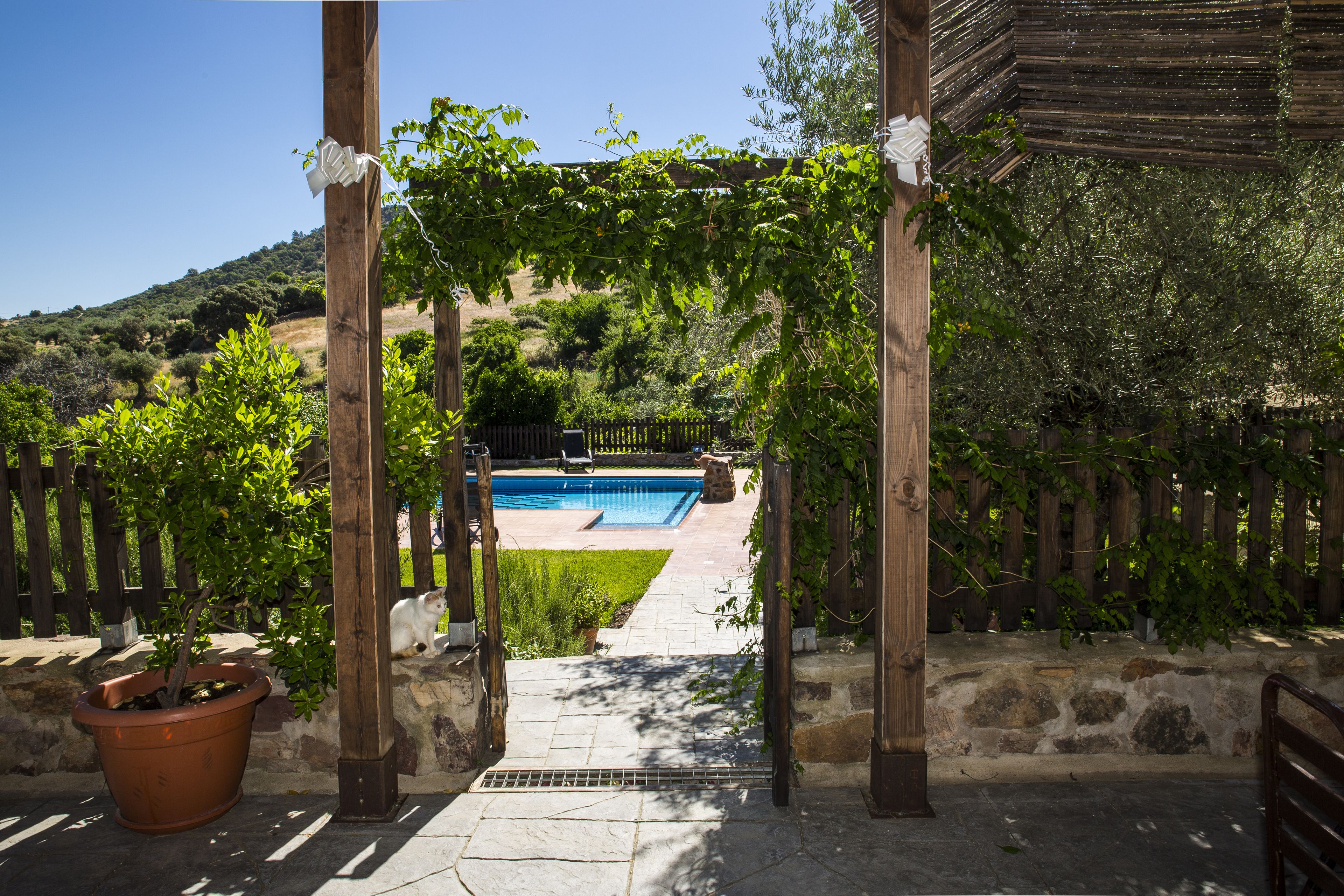 Seasonal outdoor pool, pool loungers