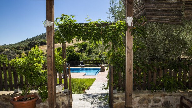Een houten pergola met een zwembad op de achtergrond, omringd door groen en een stenen muur.