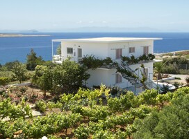 Detalle del exterior