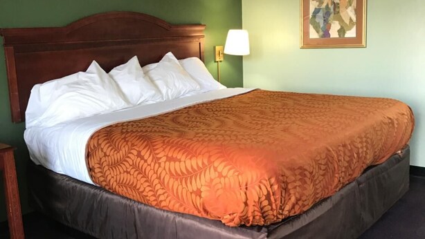 A hotel room with a large bed, green walls, a wooden headboard, a single bedside lamp, and a framed picture on the wall. - Americas Best Value Inn Manchester, TN (Manchester)