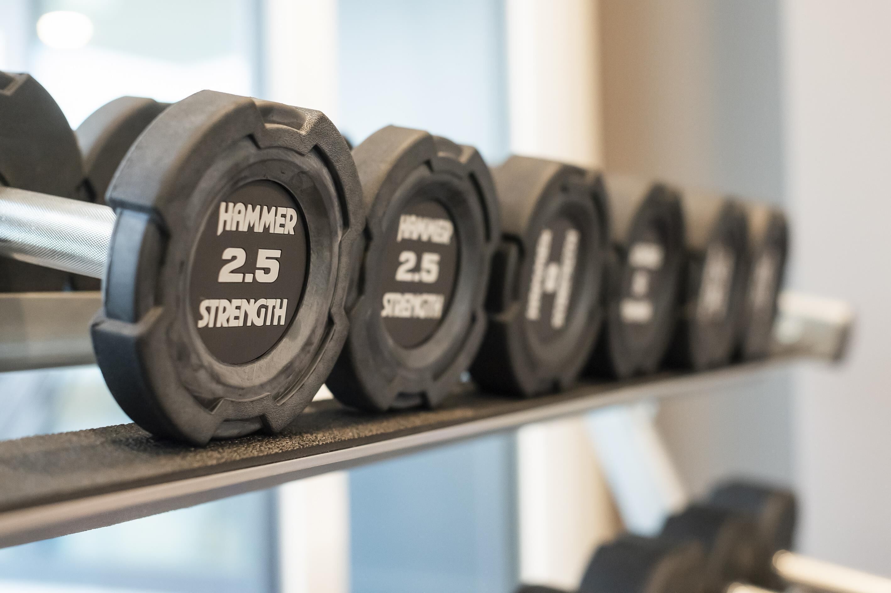 A row of weight plates labeled 'HAMMER 2.5 STRENGTH' on a rack.