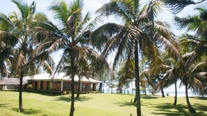 A house surrounded by palm trees with a grassy lawn and a view of the sea. - Chez Paul Ambodiatafana (Ambodiatafana)