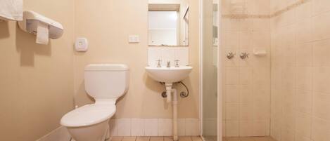 Un baño con inodoro, lavamanos y ducha.
