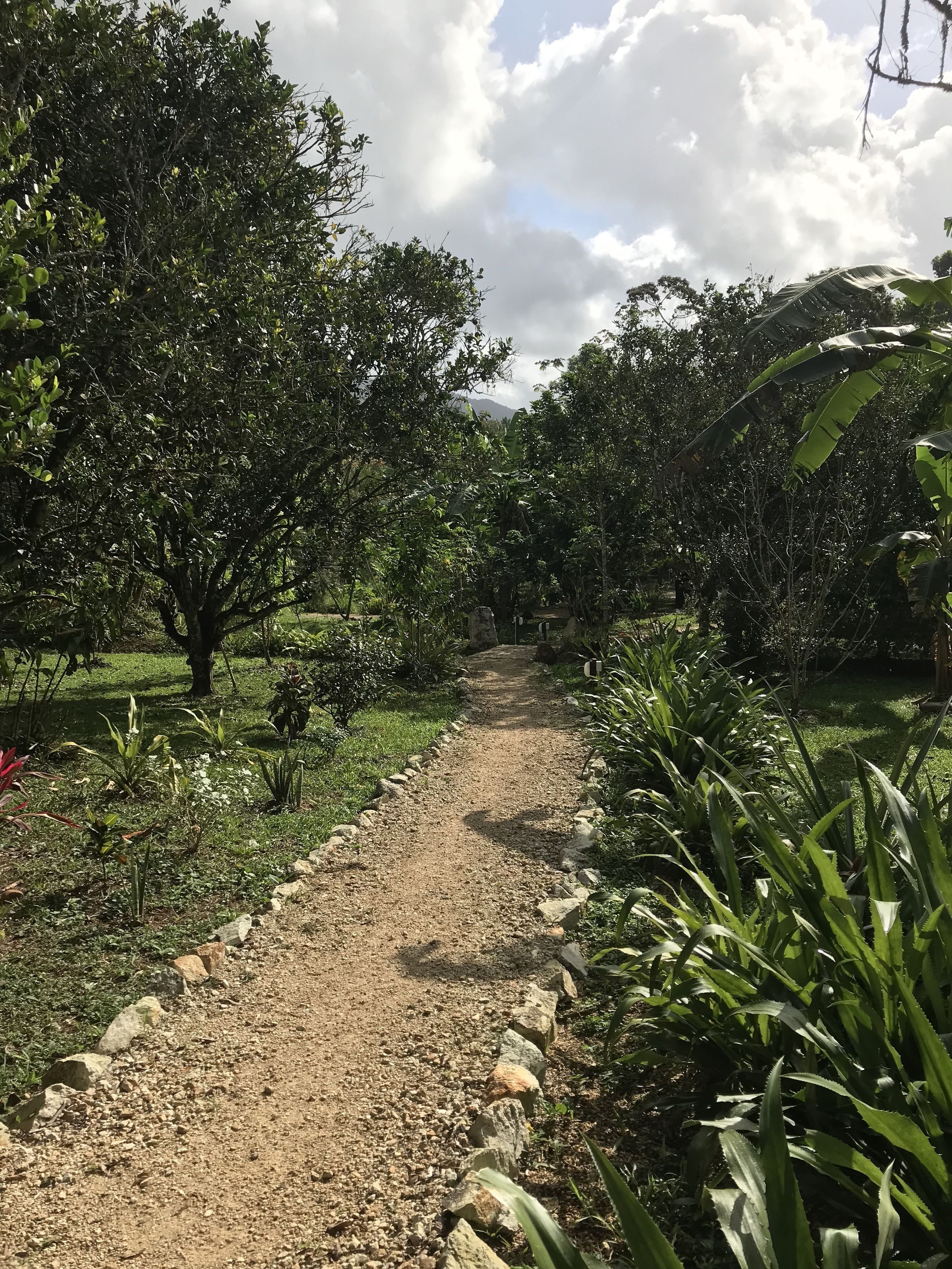 A gravel path flanked by lush greenery and trees, leading into a natural landscape.