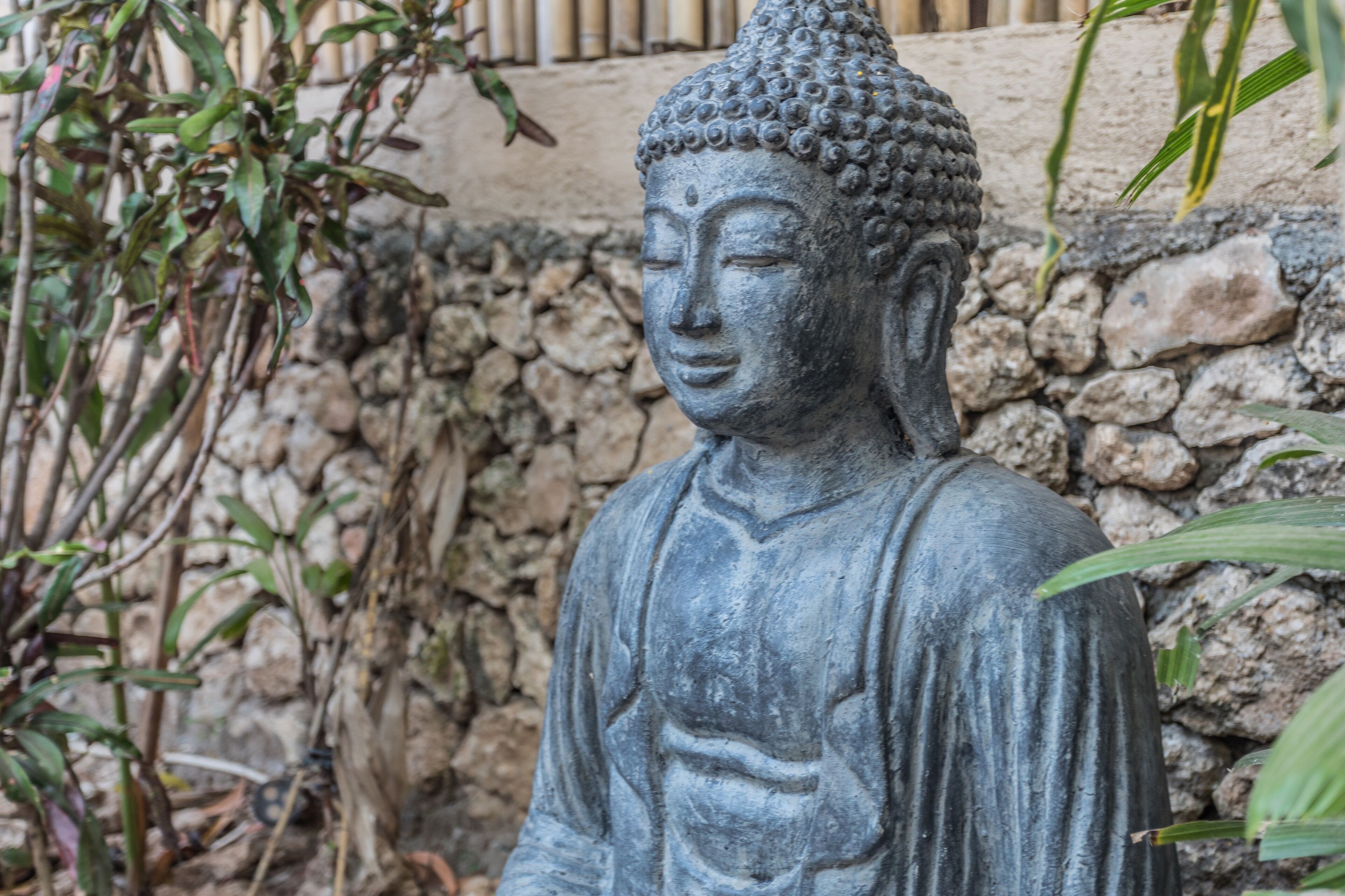 A stone Buddha statue in a garden setting with a stone wall and foliage.